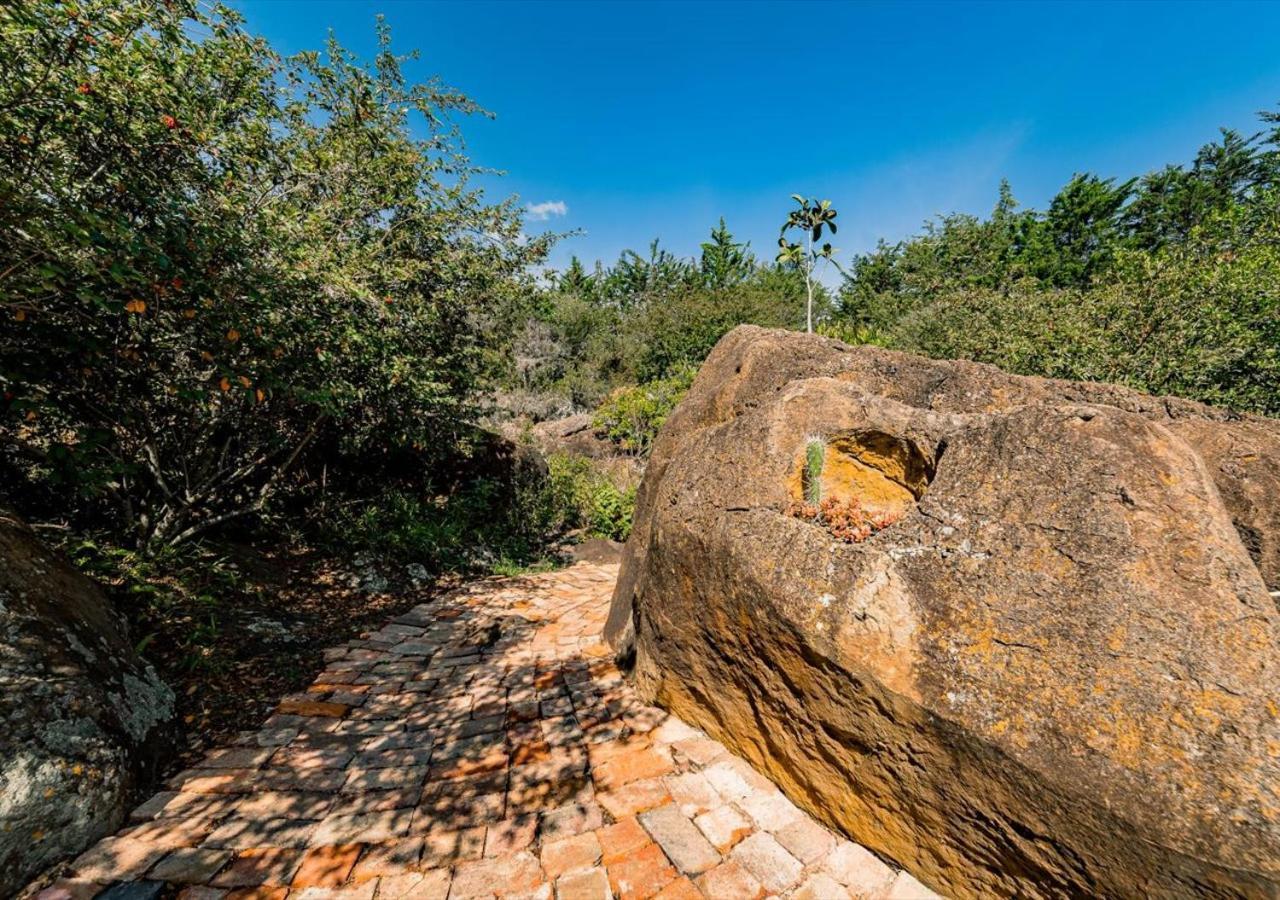 El Hayuelo Ecolodge Villa de Leyva Ngoại thất bức ảnh